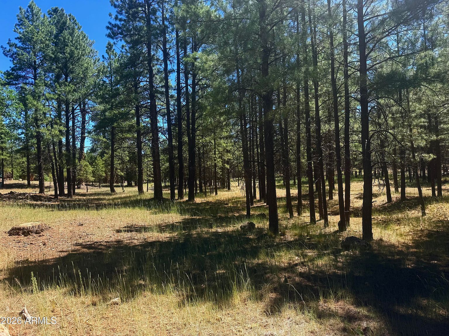 2124 Antelope Way, Happy Jack, AZ 86024