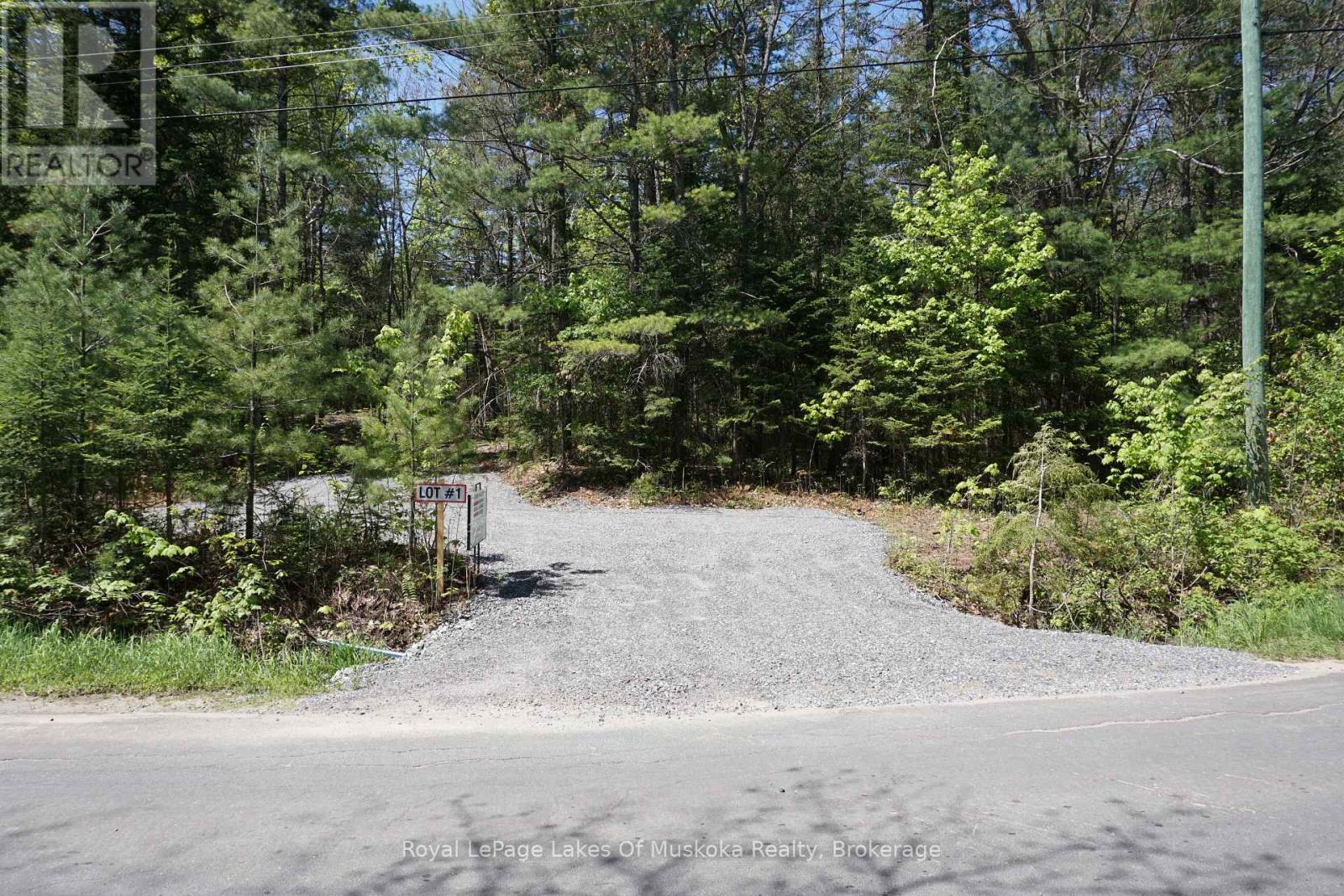 Lot 1 Fairy Falls Road, Lake Of Bays, ON P0B 1A0