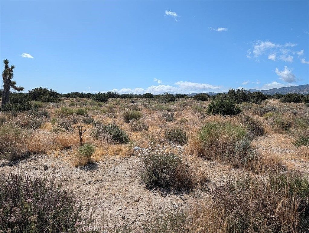 33 Antelope Hwy Lot 1, Llano, CA 93544